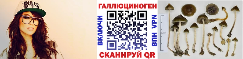 Купить  Кадников  Галлюциногенные грибы ЛСД 
